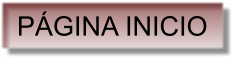 P�GINA INICIO